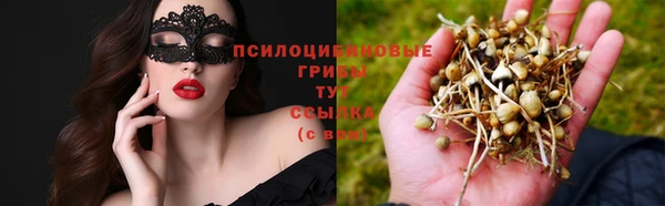 круглые Инсар