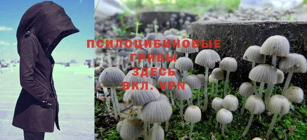 каннабис Инта