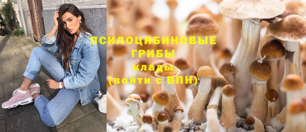 каннабис Инта