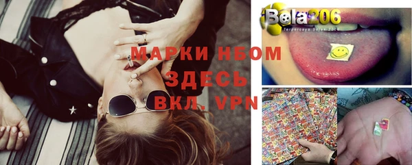 каннабис Инта